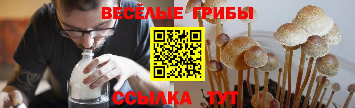 наркотики  Галлюциногенные грибы мицелий  Галлюциногенные грибы Cubensis  Вход с VPN  Усть-Лабинск 